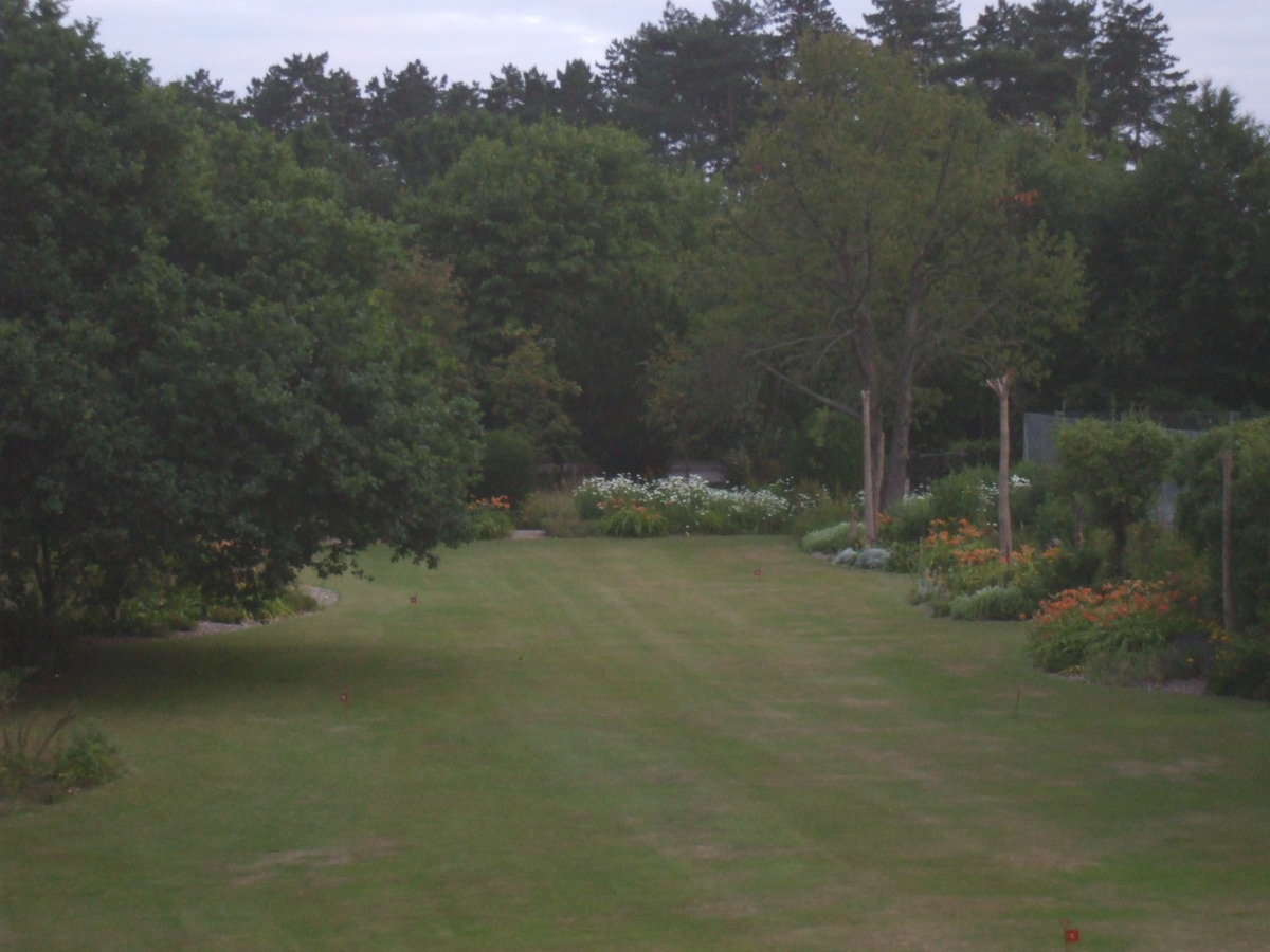 FP garden